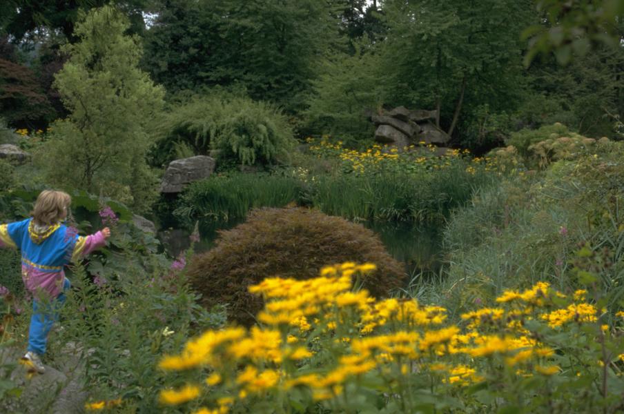 Staudenpflege Gartenunterhalt